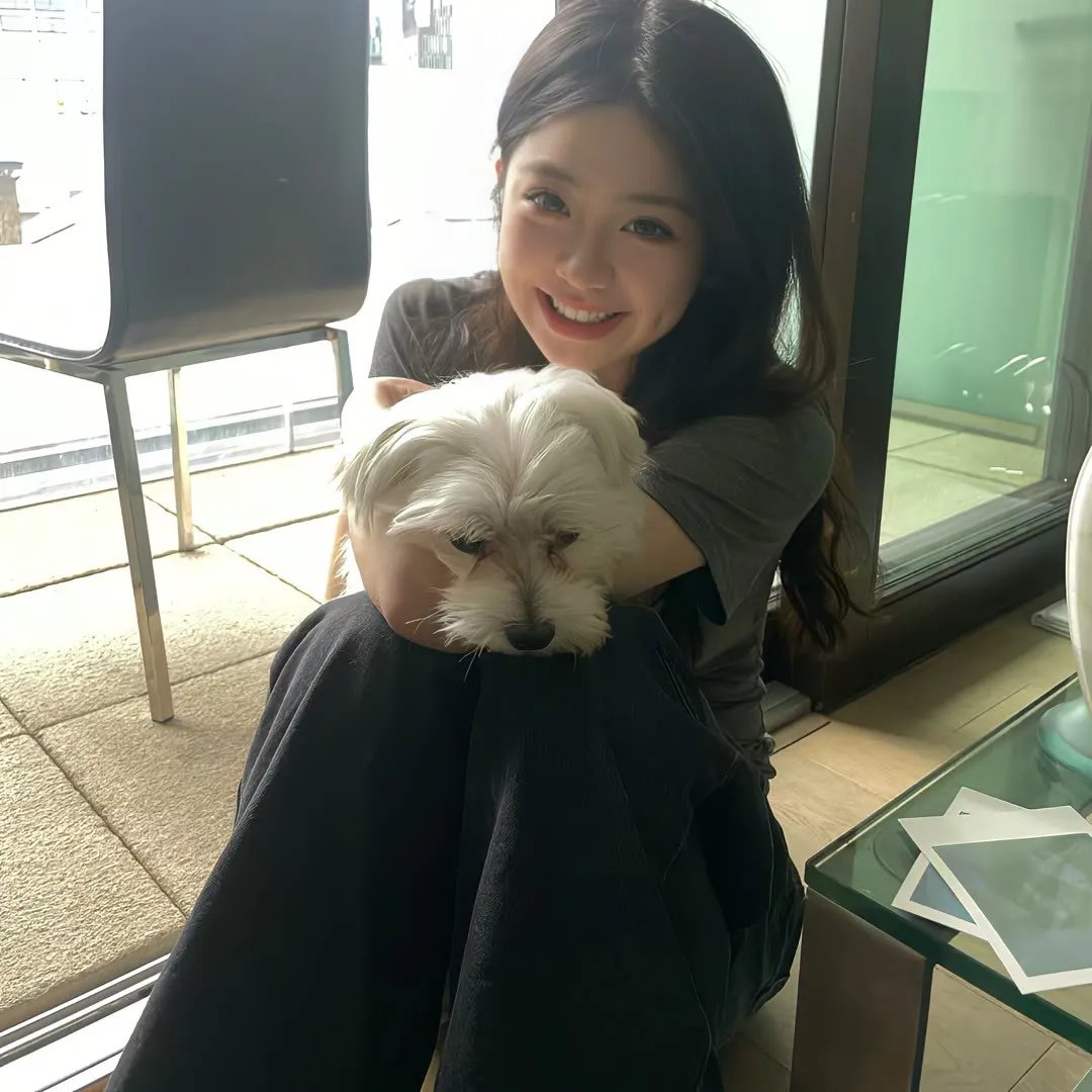 镇北龙皇$镇北龙帅